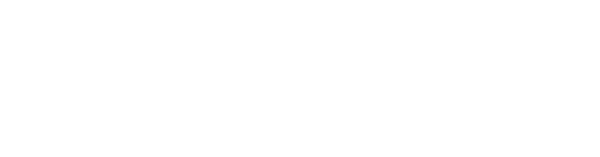 Perle Labs